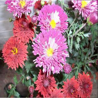 Stay In A Bed And Breakfast In Delhi NEW DELHI, New Delhi 1
